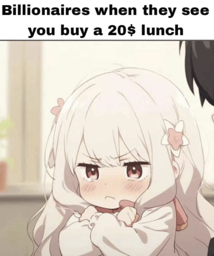 Billionaires when they see you buy a 20$ lunch