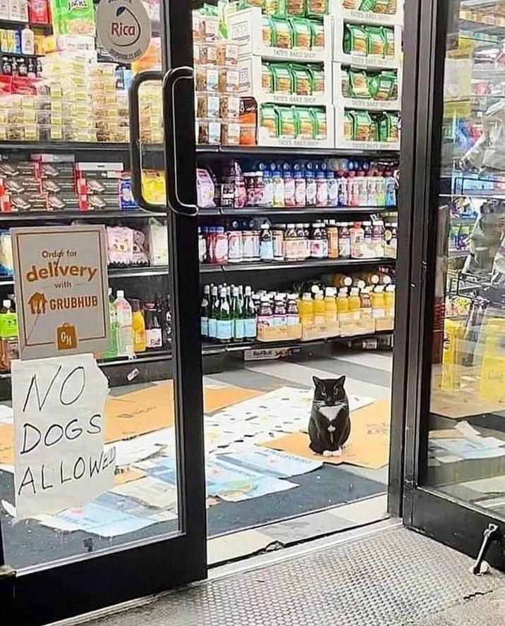 Rica TATES BAKE SOF SACZE SALE CE Order for delivery with GRUBHUB GH NO DOGS ALLOWE TATES BALE DICY TATES SME RE TIES MALE MAY