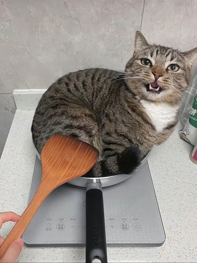 糯冰 定时 文火 添 SUPOR 大区 武突 1815