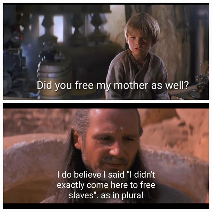 ་ Did you free my mother as well? I do believe I said "I didn't exactly come here to free slaves". as in plural