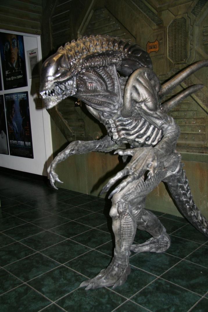 THE 6TH DAY STALLONE SHIP SNIPES DEMOLITION MAN Se Rom