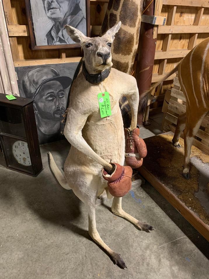 Full Body Kangaroo Mat $6,000