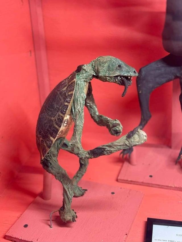 In the late 1980's ELCH