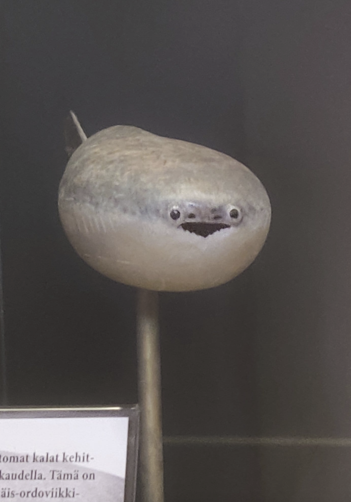 tomat kalat kehit- kaudella. Tämä on äis-ordoviikki-