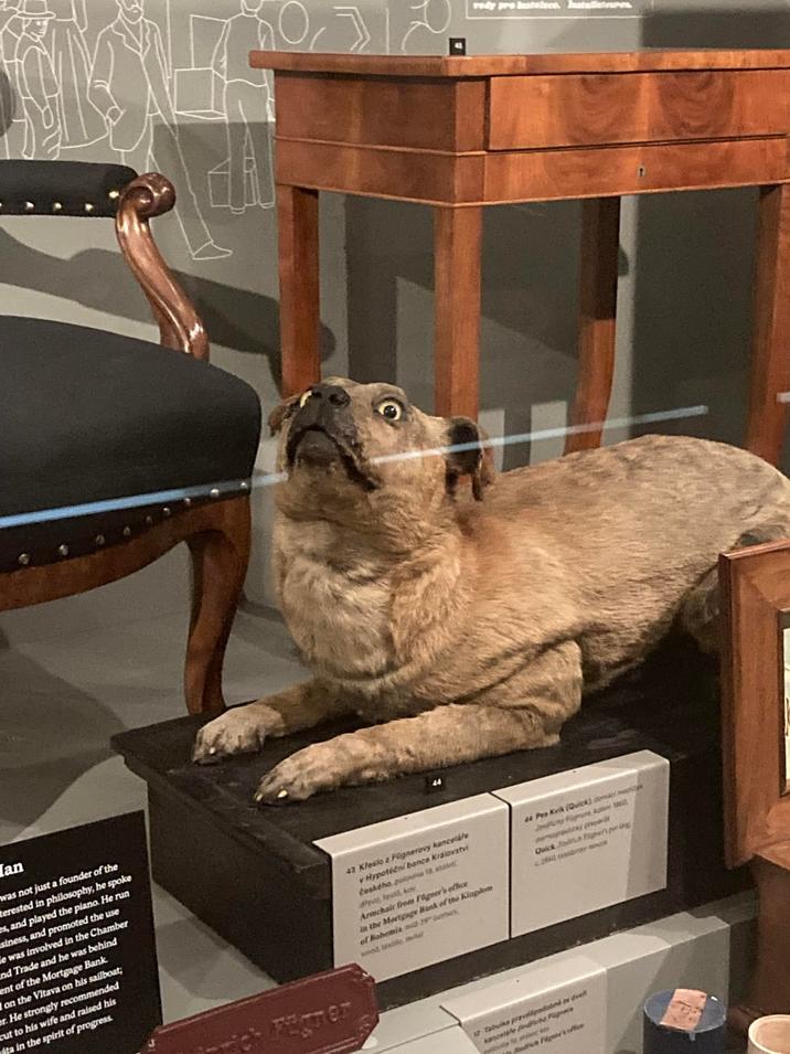 lan was not just a founder of the terested in philosophy, he spoke es, and played the piano. He run siness, and promoted the use e was involved in the Chamber and Trade and he was behind ent of the Mortgage Bank I on the Vltava on his sailboat; er. He strongly recommended cut to his wife and raised his ita in the spirit of progress 43 Kleslo z Fügnerovy kanceláře v Hypotéčni bance Královstvi českého polna 19. stolet davo, textil, ko Armchair from Fogner's office in the Mortgage Bank of the Kingdom of Bohemia aud-29" been wood table mal 44 Pes Kvik (Quick) donela Jndichy Fignore, Au demoptiky preparit Quick Thich Tiger p 2 mont 12 Tabulke pravdepodobné ze dvert kancelate indiche Fügner pola k disch Fer's office vody pro instalece. Installater