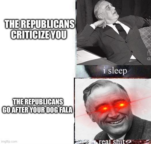 THE REPUBLICANS CRITICIZE YOU THE REPUBLICANS GO AFTER YOUR DOG FALA imgflip.com i sleep real s--- 44