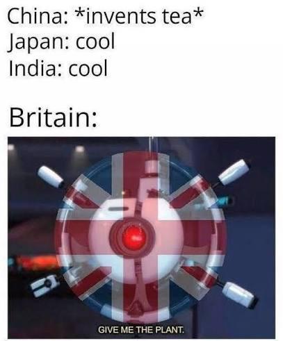 China: *invents tea* Japan: cool India: cool Britain: GIVE ME THE PLANT.