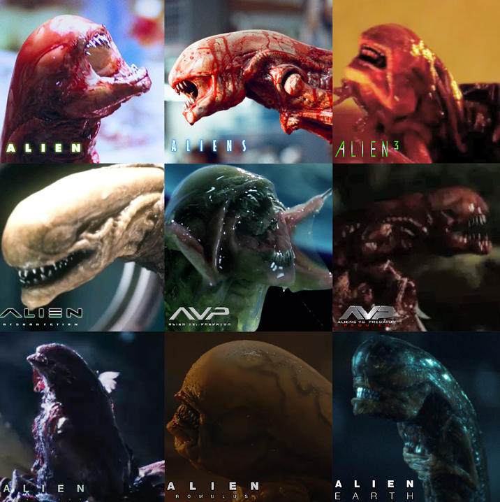 ALIEN ALIENS ALIENS ALIEN nr sunn CCTION EN AVP Aliens vs PREDATOR ALIEN ALIEN ROMULUS E A RTH