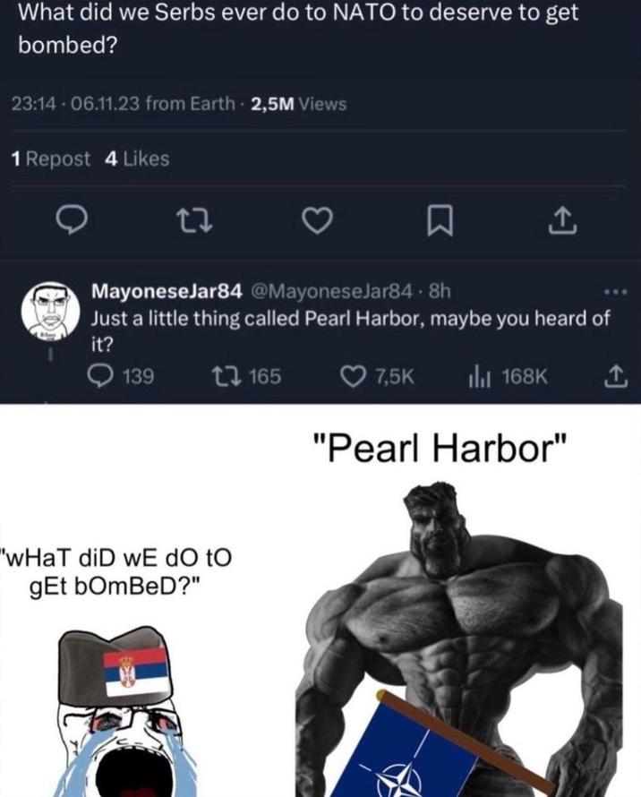 What did we Serbs ever do to NATO to deserve to get bombed? 23:14 - 06.11.23 from Earth 2,5M Views 1 Repost 4 Likes ↑ MayoneseJar84 @MayoneseJar84-8h Just a little thing called Pearl Harbor, maybe you heard of it? 139 "wHaT diD wE do to gEt bOmBeD?" 165 7,5K ılı 168K "Pearl Harbor"