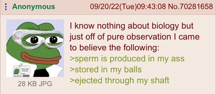 Anonymous SAD PEPE MD. Meme State University 28 KB JPG 09/20/22(Tue)09:43:08 No.70281658 I know nothing about biology but just off of pure observation I came to believe the following: >sperm is produced in my ass >stored in my balls >ejected through my shaft