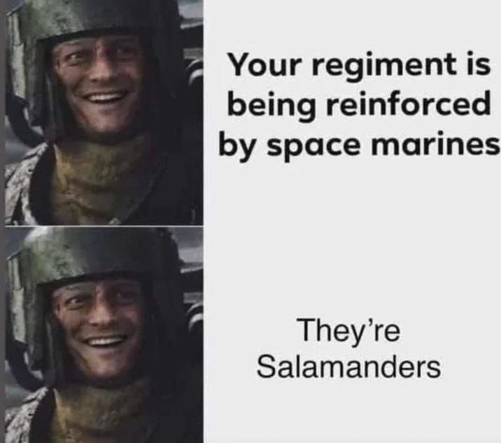 Your regiment is being reinforced by space marines They're Salamanders