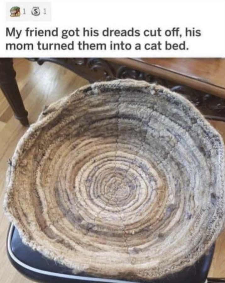 1 1 My friend got his dreads cut off, his mom turned them into a cat bed.