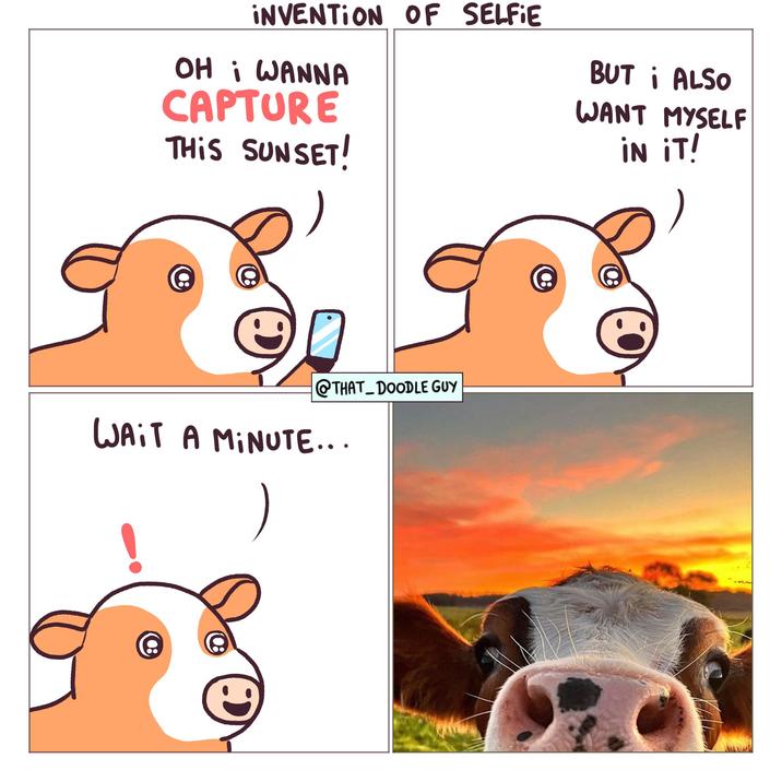 INVENTION OF SELFIE OH i WANNA CAPTURE THIS SUNSET! BUT i ALSO WANT MYSELF IN IT! @THAT DOODLE GUY WAIT A MINUTE... :)