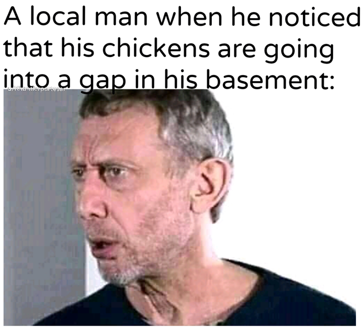 A local man when he noticed that his chickens are going into a gap in his basement: