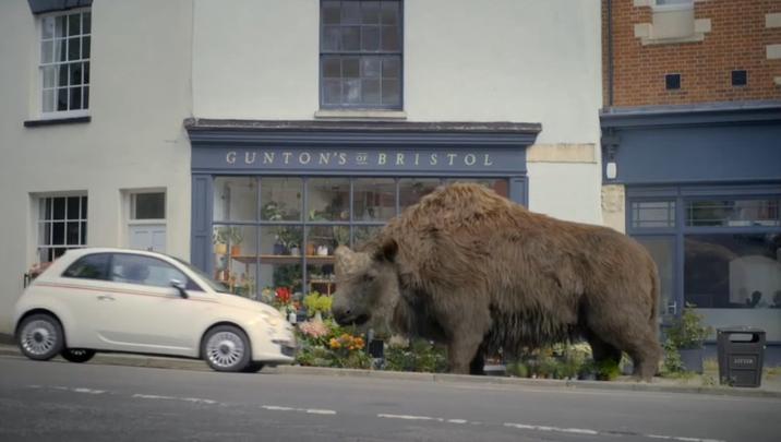 GUNTON'S OF BRISTOL LITEER