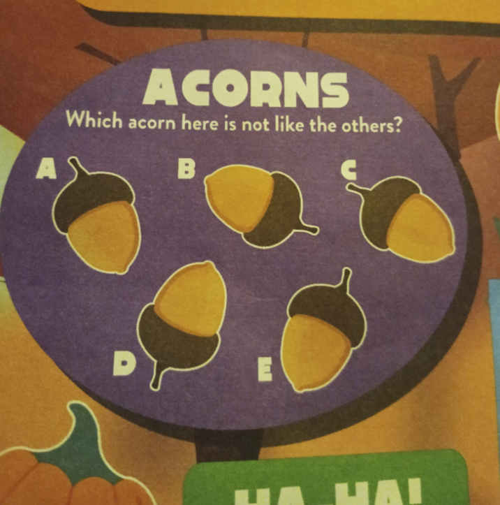 ACORNS Which acorn here is not like the others? B HAI