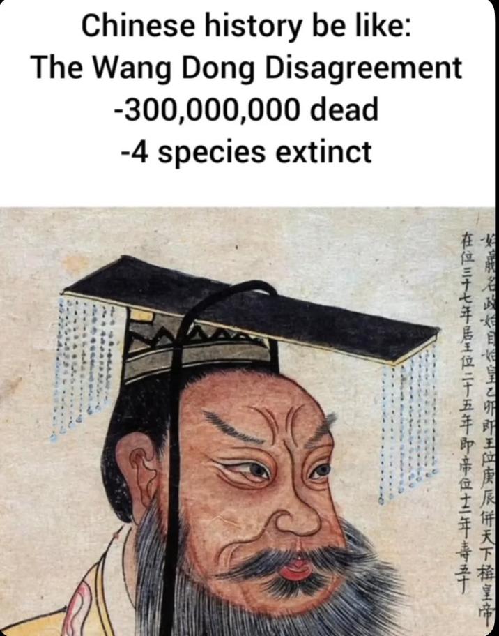 Chinese history be like: The Wang Dong Disagreement -300,000,000 dead -4 species extinct 在位三十七年居王位二十五年帥帝位土年壽五 名目で皇と卵郎王位庚辰併天下皇帝
