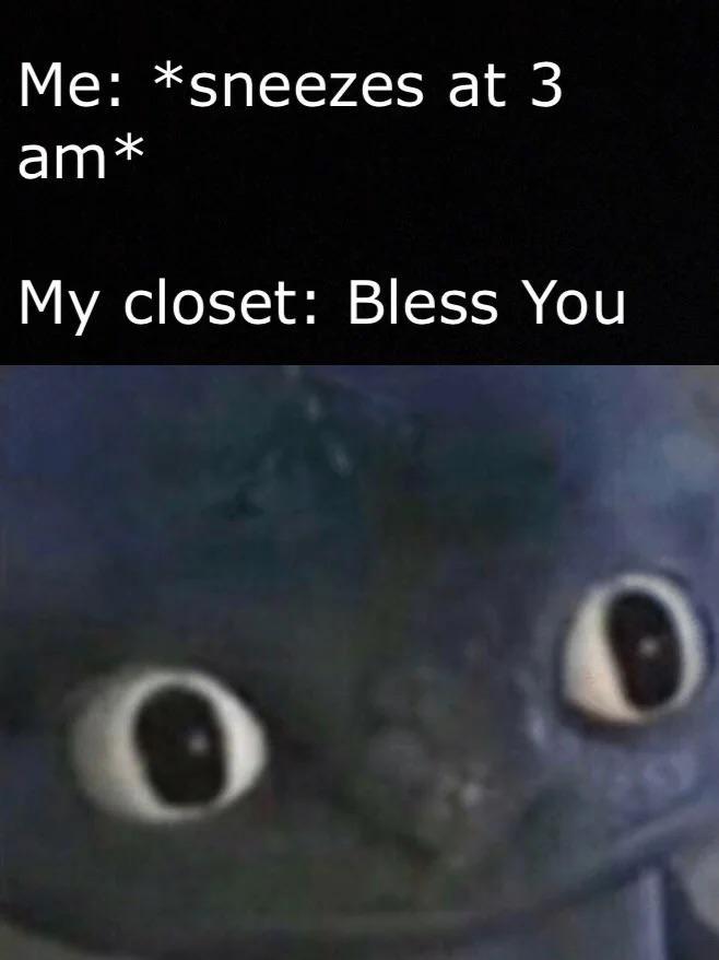 Me: *sneezes at 3 am* My closet: Bless You