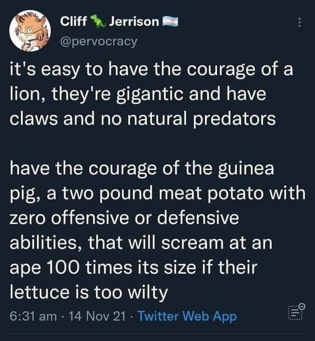 Cliff Jerrison @pervocracy it's easy to have the courage of a lion, they're gigantic and have claws and no natural predators have the courage of the guinea pig, a two pound meat potato with zero offensive or defensive abilities, that will scream at an ape 100 times its size if their lettuce is too wilty 6:31 am -14 Nov 21 Twitter Web App .
