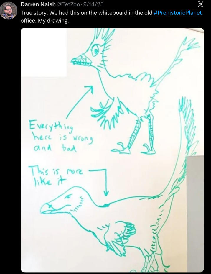 Darren Naish @TetZoo 9/14/25 X True story. We had this on the whiteboard in the old #PrehistoricPlanet office. My drawing. Everything here is wrong and bad This is more like it
