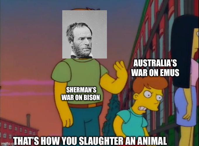SHERMAN'S WAR ON BISON AUSTRALIA'S WAR ON EMUS THAT'S HOW YOU SLAUGHTER AN ANIMAL