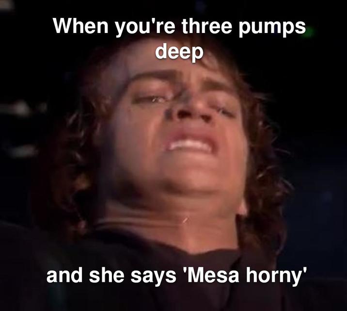 When you're three pumps deep and she says 'Mesa horny'