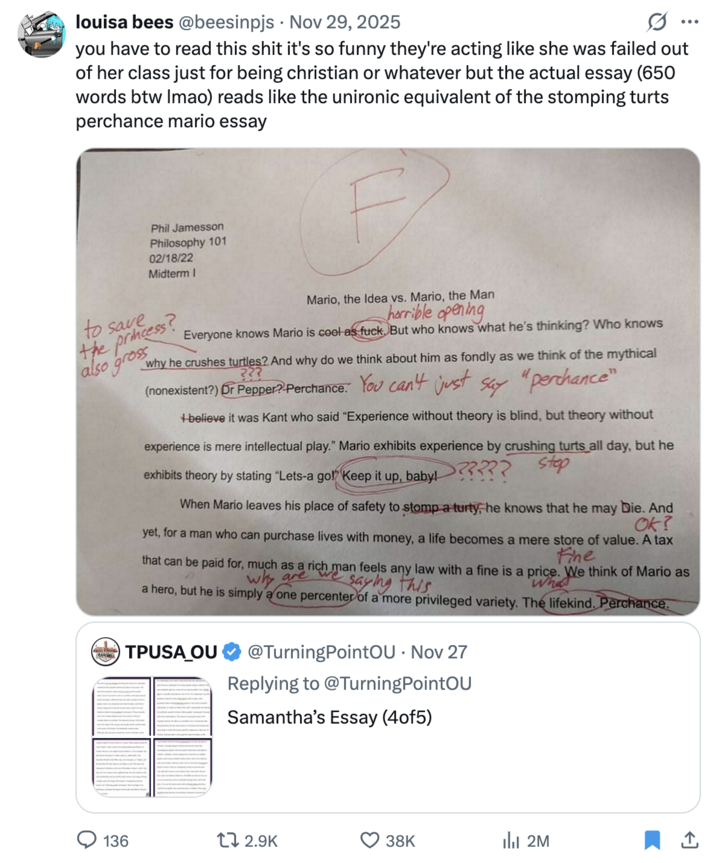 X user @beesinpjs quoted Samantha Fulnecky's essay, writing, "you have to read this s--- it's so funny they're acting like she was failed out of her class just for being christian or whatever but the actual essay (650 words btw lmao) reads like the unironic equivalent of the stomping turts perchance mario essay."