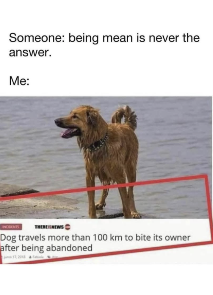 Someone: being mean is never the answer. Me: INCIDENTS THEREISNEWS Dog travels more than 100 km to bite its owner after being abandoned