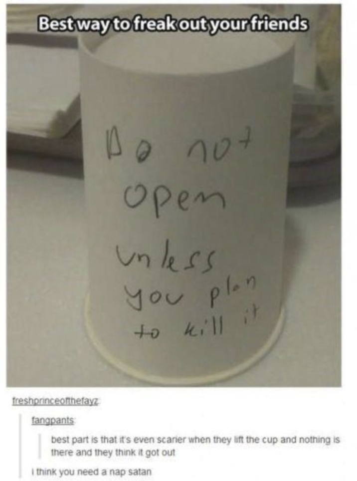 Best way to freak out your friends Do not Open unless You plan to kill it freshprinceofthefayz fangpants best part is that it's even scarier when they lift the cup and nothing is there and they think it got out I think you need a nap satan