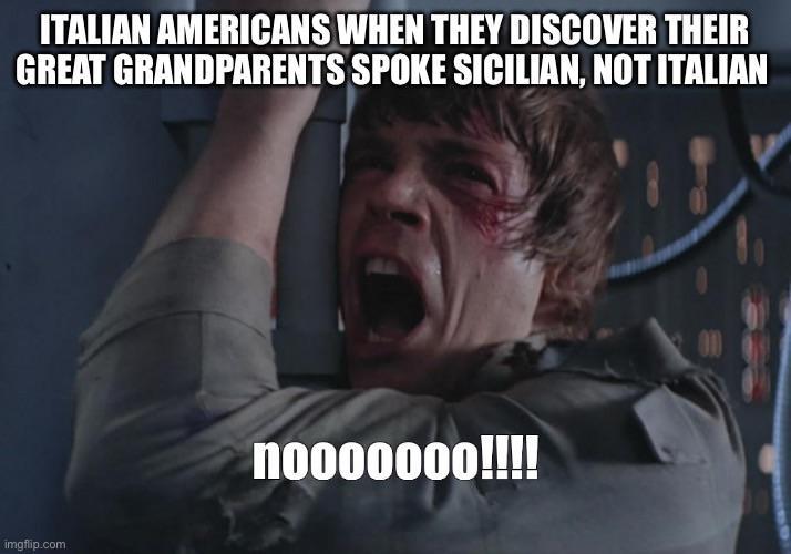 ITALIAN AMERICANS WHEN THEY DISCOVER THEIR GREAT GRANDPARENTS SPOKE SICILIAN, NOT ITALIAN imgflip.com nooooooo!!!!