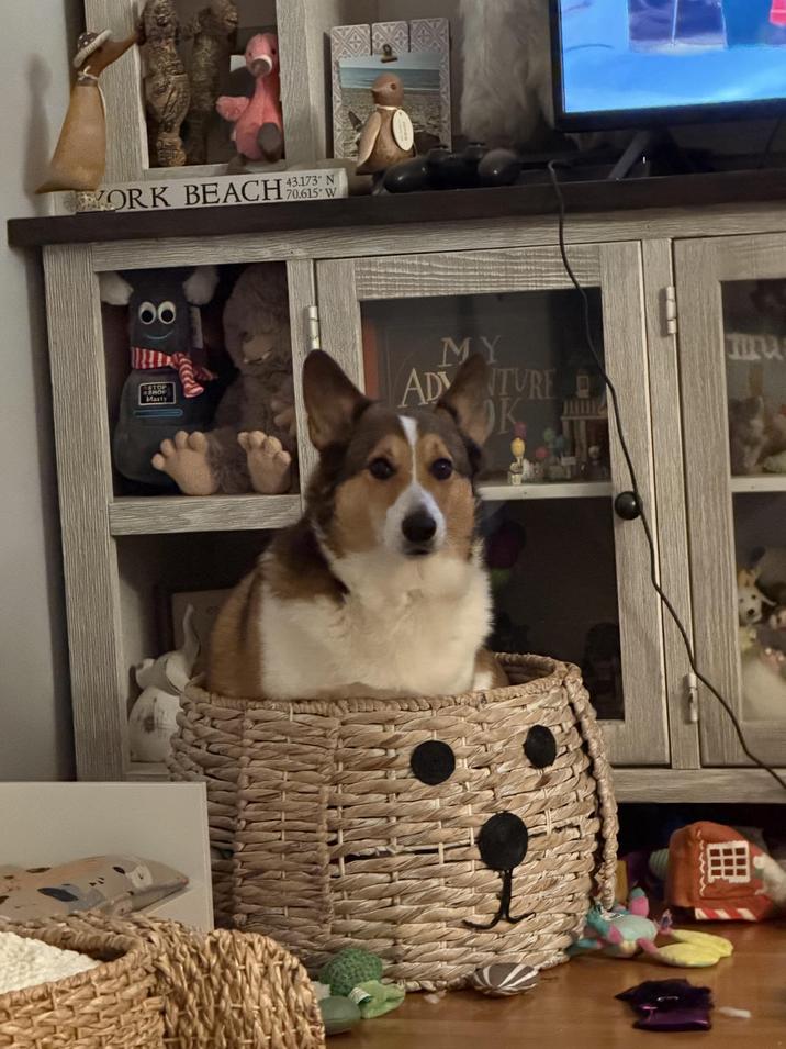 WORK BEACH 43173 70.615 W 00 STOP SHOP Masty AD MY NTURE OK