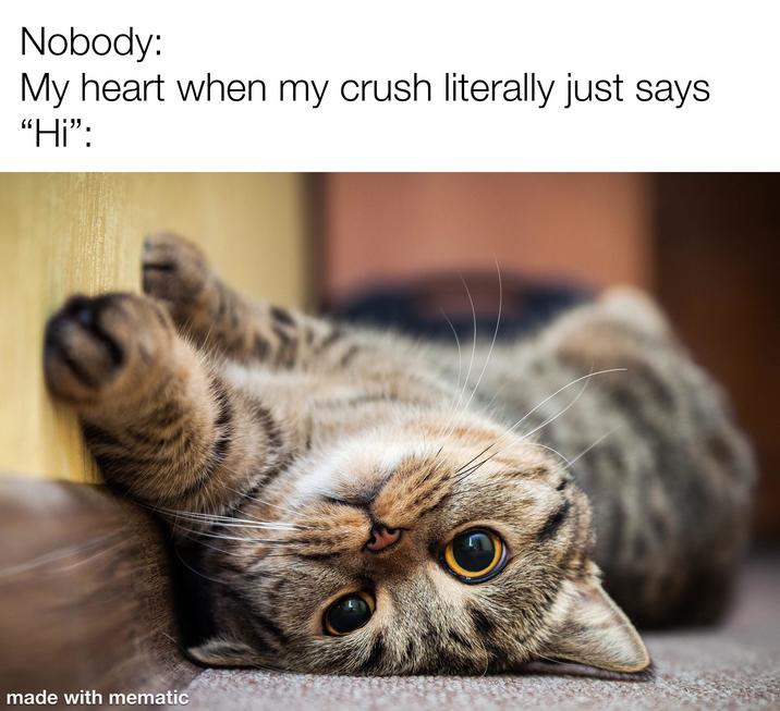 Nobody: My heart when my crush literally just says "Hi": made with mematic