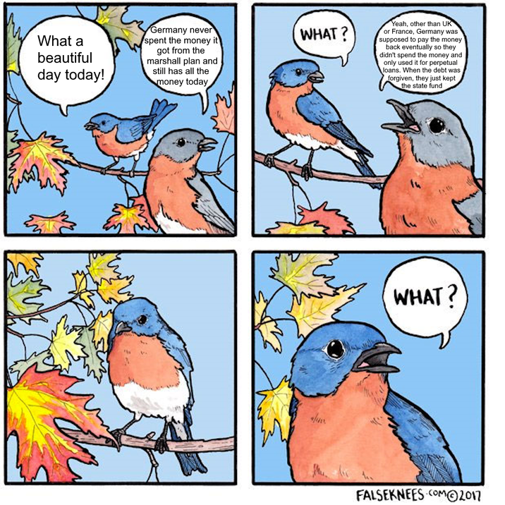 What a beautiful day today! Germany never spent the money it got from the marshall plan and still has all the money today WHAT? Yeah, other than UK or France, Germany was supposed to pay the money back eventually so they didn't spend the money and only used it for perpetual loans. When the debt was forgiven, they just kept the state fund to th हु WHAT? FALSEKNEES COM©2017
