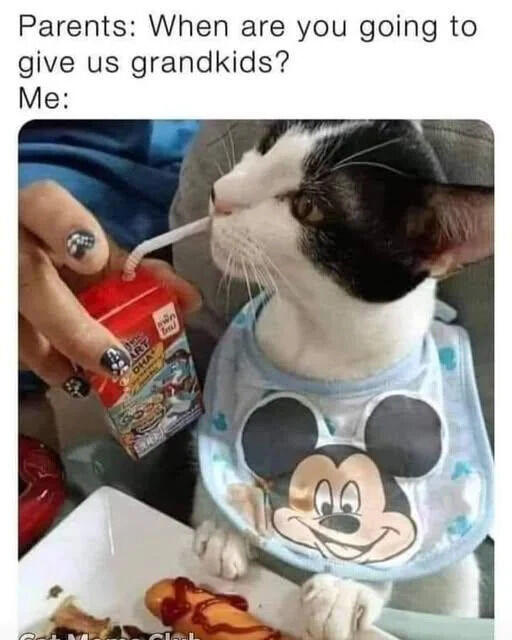 Parents: When are you going to give us grandkids? Me: ART DHA www bal