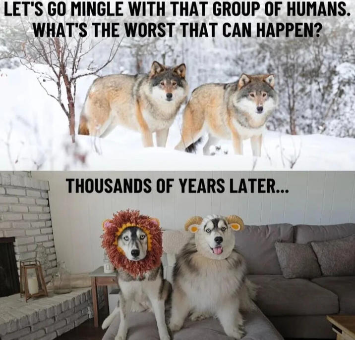 LET'S GO MINGLE WITH THAT GROUP OF HUMANS. WHAT'S THE WORST THAT CAN HAPPEN? THOUSANDS OF YEARS LATER...
