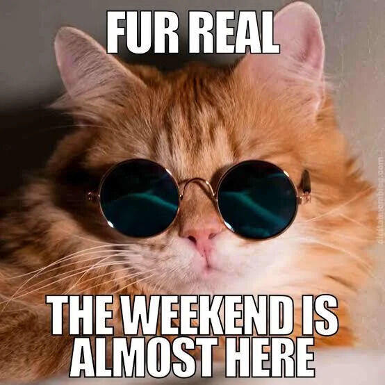 FUR REAL THE WEEKEND IS ALMOST HERE aleitəmɔombing.com