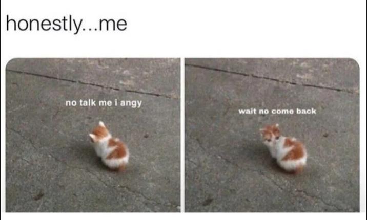 honestly...me no talk me i angy wait no come back