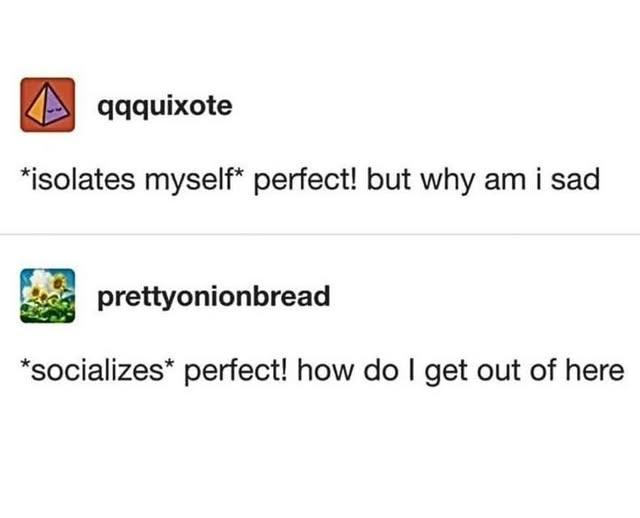 qqquixote *isolates myself* perfect! but why am i sad prettyonionbread *socializes* perfect! how do I get out of here