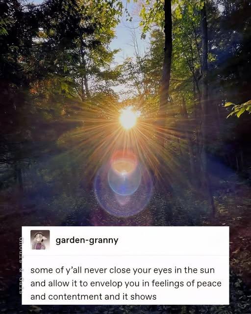 garden-granny some of y'all never close your eyes in the sun and allow it to envelop you in feelings of peace and contentment and it shows