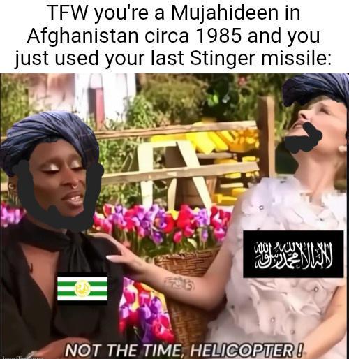 TFW you're a Mujahideen in Afghanistan circa 1985 and you just used your last Stinger missile: EE NOT THE TIME, HELICOPTER!