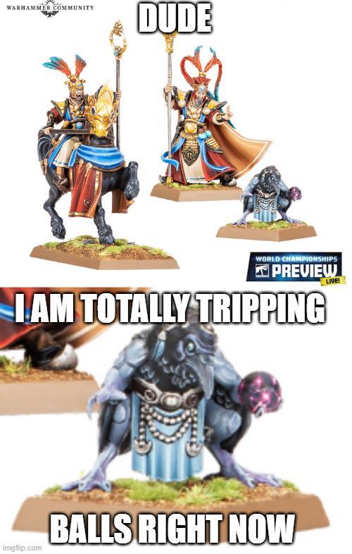 WARHAMMER COMMUNITY DUDE WORLD CHAMPIONSHIPS PREVIEW IAM TOTALLY TRIPPING LIVE! imgflip.com BALLS RIGHT NOW