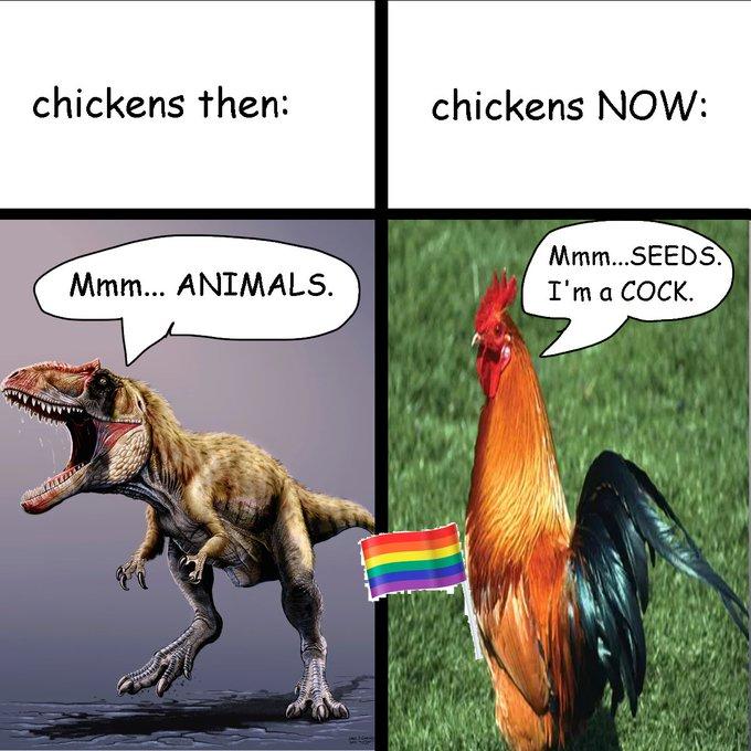 chickens then: chickens NOW: Mmm... ANIMALS. Mmm...SEEDS. I'm a C---.