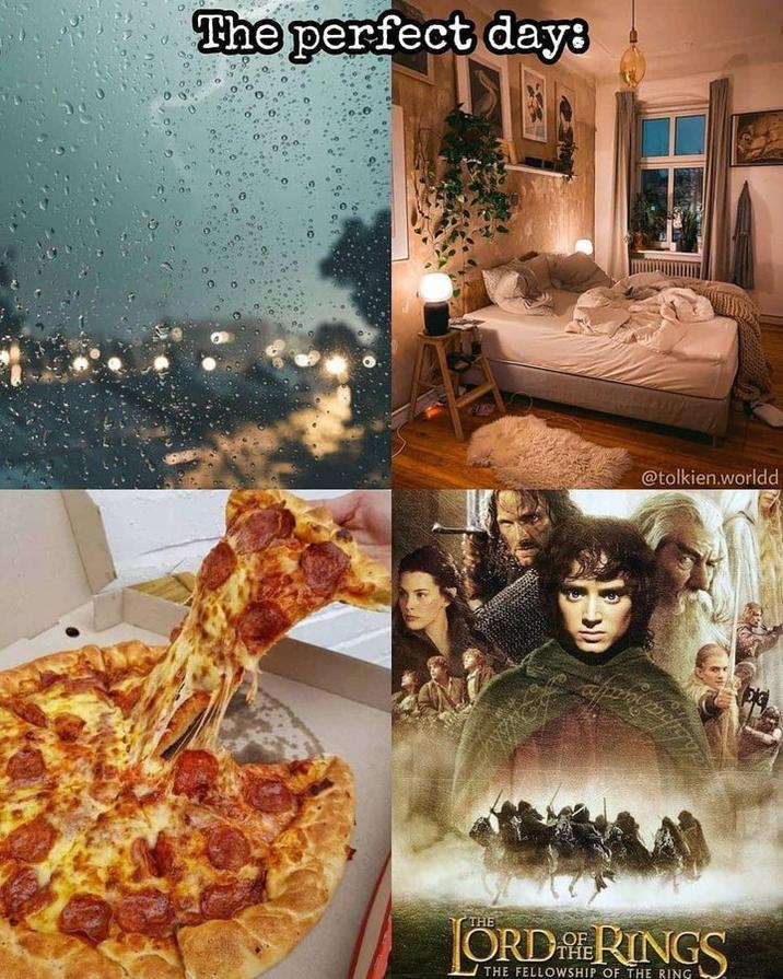The perfect days @tolkien.worldd THE ORDERINGS THE FELLOWSHIP OF THE RING