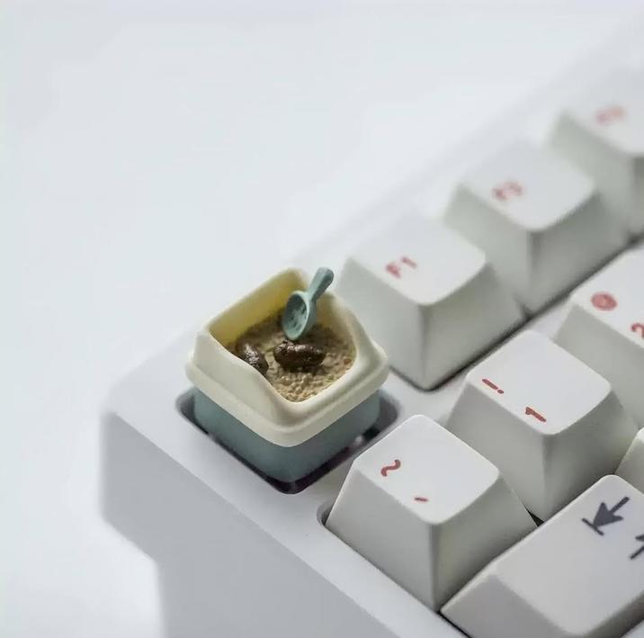 F1