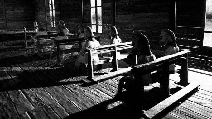 A screenshot from the video game Horses.