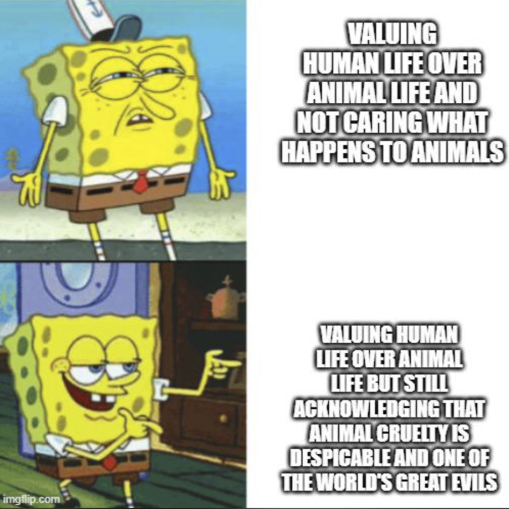 VALUING HUMAN LIFE OVER ANIMAL LIFE AND NOT CARING WHAT HAPPENS TO ANIMALS imgflip.com VALUING HUMAN LIFE OVER ANIMAL LIFE BUT STILL ACKNOWLEDGING THAT ANIMAL CRUELTY IS DESPICABLE AND ONE OF THE WORLD'S GREAT EVILS