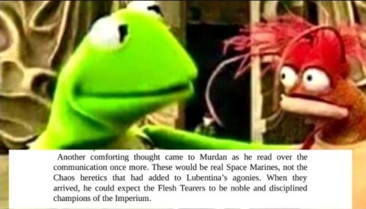Another comforting thought came to Murdan as he read over the communication once more. These would be real Space Marines, not the Chaos heretics that had added to Lubentina's agonies. When they arrived, he could expect the Flesh Tearers to be noble and disciplined champions of the Imperium.