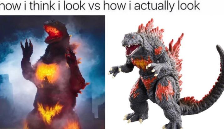 how i think i look vs how i actually look