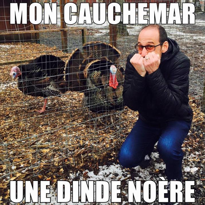 MON CAUCHEMAR UNE DINDE NOERE