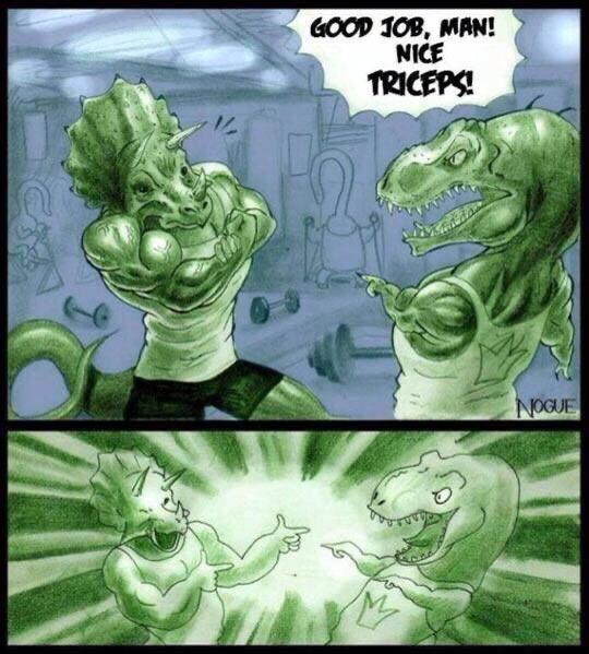 GOOD JOB, MAN! NICE TRICEPS! NOGUE